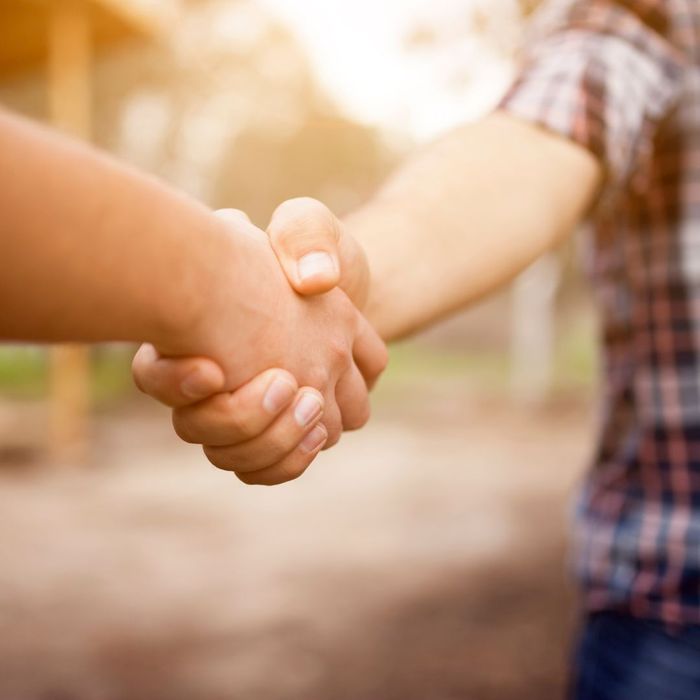 Granada Hills Pest Extermination Services Why Us? Bad Termite